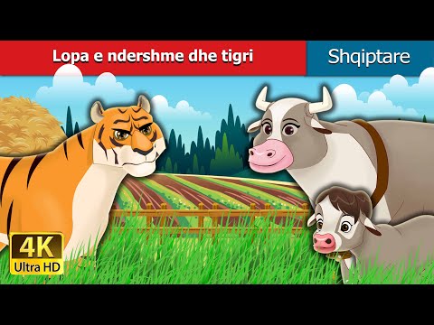 Lopa e ndershme dhe tigri | The Honest Cow and the Tiger in Albanian | @AlbanianFairyTales