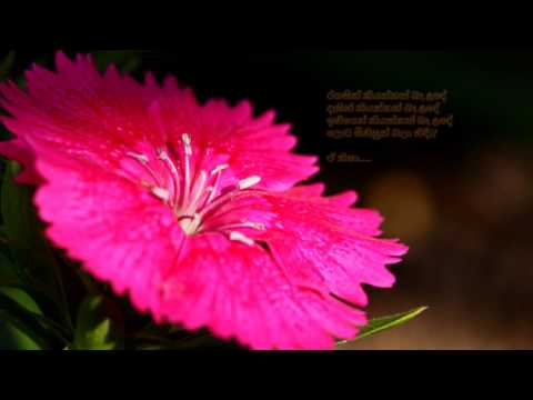 Me Ath Bhawe Puraa - මේ අත් භවේ පුරා