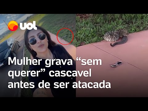 Mulher grava 'sem querer' cascavel antes de ser atacada em Goiás; veja vídeo