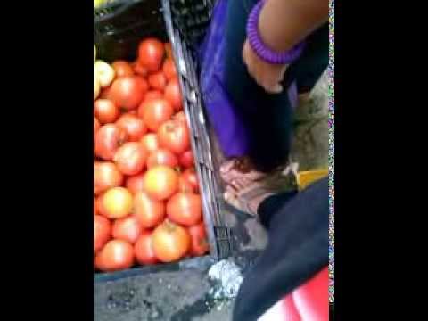 download lagu mp3 mp4 In Sudamerica, download mp3 In Sudamerica free download, download mp3 In Sudamerica