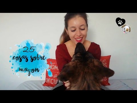 25 cosas sobre Magon | Lilly Refuse