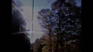 PACK OF NOBODIES song by EmiLy WeLLs with lyrics