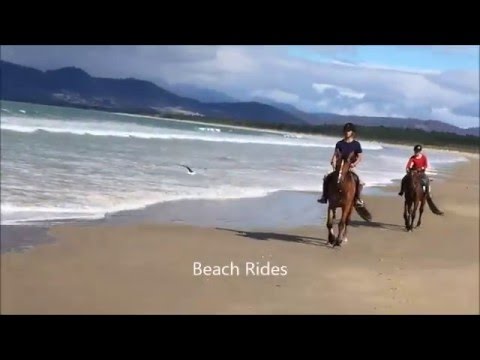 Horse Riding Tasmania