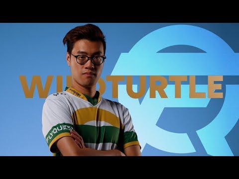 WildTurtle explains FQ struggles in Spring Split, leveling up personally | FLYQUEST (LoL)