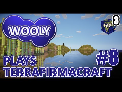 Forge Experiment, Kitchen and Trading - Wooly Plays Terrafirmacraft - Ep8 - Earth Cubed Server