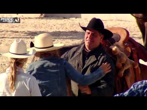 Mustang Makeover 2017 - Bernd Hackl