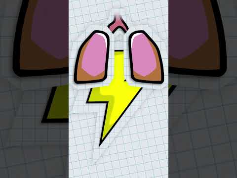 What If You DIDN'T BREATHE?