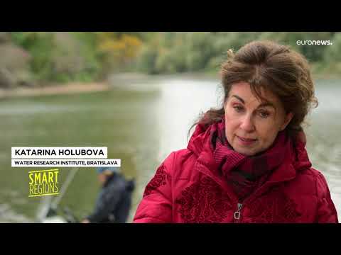 Dream Danube - Wie kann die Donau durch nachhaltige Bewirtschaftung Herausforderungen begegnen?