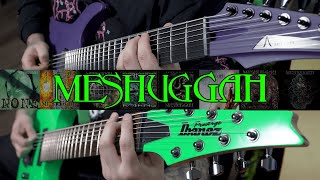 MESHUGGAH Guitar Riff Evolution (1994 - 2016 Heaviest Guitar Riffs)
