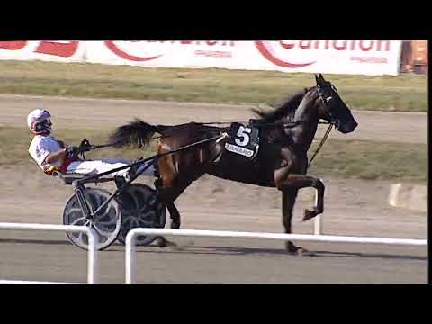 Napoli Trotto 15/09/2023 - 5ª corsa