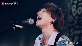 Saucy Dog新曲『404.NOT FOR ME』がVANS キャンペーンに起用!ライブ映像も公開「VANS カラーズ コレクション」WEBムービー+メイキング