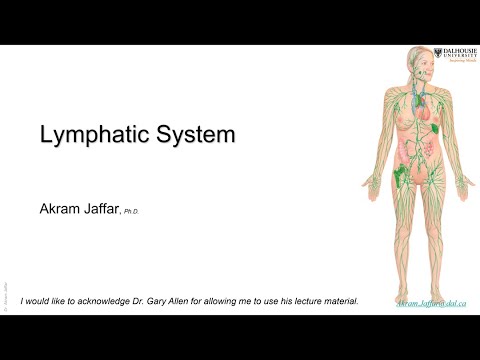 ANAT1010_27_lymphatic system + Anki flashcards