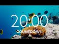 20 Minute Timer With Relaxing Music And Alarm