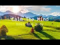 Relaxing Music For Seclusion And Peace Of Mind Stop Anxiety Soothing Relaxation For Deep Sleep