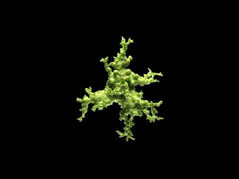 Echonomist feat. Mironas - Our Last Night (radio edit)