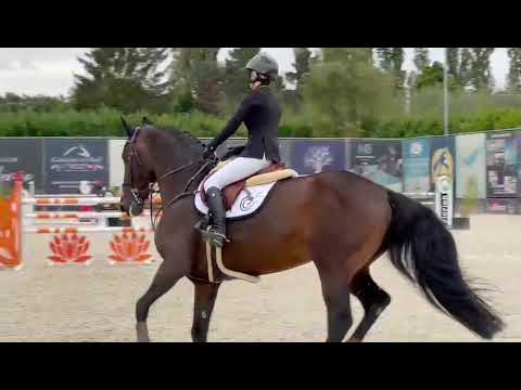 Emir de Vy - CSI2* 1.35m/1.40m Jumping Bonheiden
