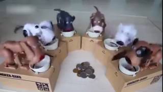 Doggy Piggy Bank