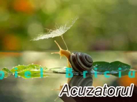 "Acuzatorul"  》》Costache Ioanid   (recită Daniel Briciu)