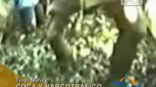 preview picture of video 'Tingo María: El 99.8% de la coca que se produce se destina al narcotráfico'