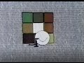 Canadian Sesame Street Rubik S Cube Blowup