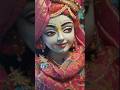 Sun Murli Ki Taan Braj Mandal Hile Sun Murli Ki Taan Suvicharbydinesh Shorts