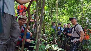 Download lagu Hiking trip to Hutan Lipur Tupah Loop and Waterfalls along Sg. Tupah #kim88吃喝玩乐 #adventure  #hiking  mp3