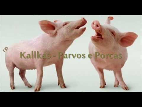 Kallkas - Parvos e Porcas