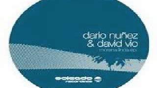 Dario Nunez & David Vio Musiquarium (Promo) Musiquarium