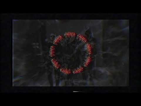 Hakana seek music târfo❤❤👈😂😷😷