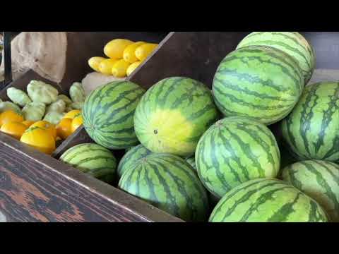 Summer Farmers Market