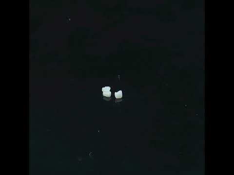 YouTube 썸네일