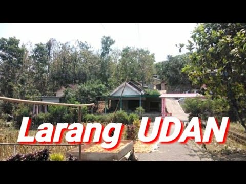 Gending Tayub Jawa Timur ( Larang Udan )