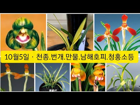 유튜브 썸네일