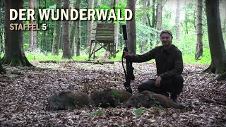 Jagd im Wunderwald auf Bock und Sau | Staffel 5 - Jagdkrone
