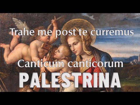 Trahe me post te curremus