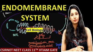 Endomembrane System I Cell Biology  CSIRNET IITJAM NEET CLASS 11 GATE ICMR DBT Cell The Unit Of Life