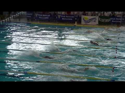 50 farfalla William Careddu