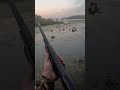 Heck of a way to start the season! One shot limit! #duckhunting