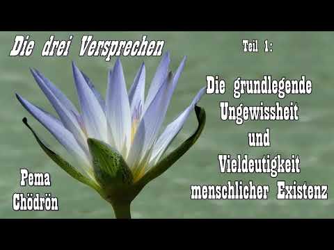 Die grundlegende Ungewissheit und Vieldeutigkeit menschlicher Existenz - Pema Chödrön