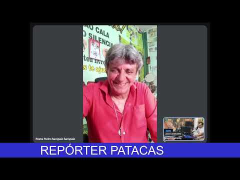 REPÓRTER PATACAS