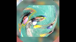 Kamla Devi Public School Video