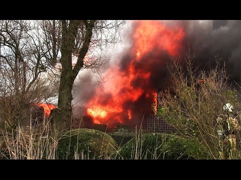 Woonboerderij in lichter laaie in Havelte