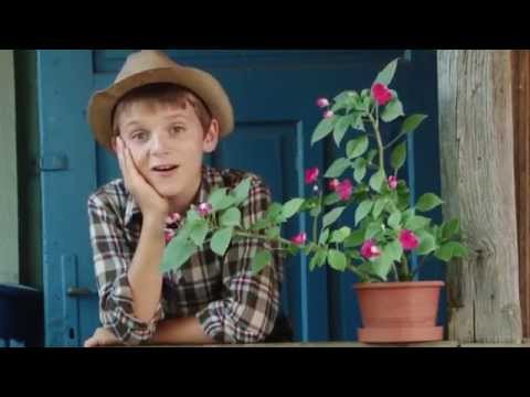 Speranta pentru copii -   Gospodarul prin ocol