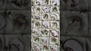 בורקס בשר ופטריות ״פטנט״ לשבת קודש וגם ליום חול #יאבלולושמבלולו #מתכונים