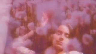 Quelle Rox  - Dream Daisies (Official Video)