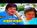 Kadhala Kadhala Video Song Thaikku Oru Thalattu Pandian Ilavarasi Ilaiyaraaja FHD Dolby