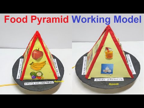 Food Pyramid Working Model 3d Making Science Project DIY HowToFunda