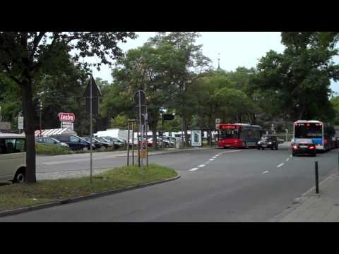 Rhododendronpark und Uni prägen Horn-Lehe