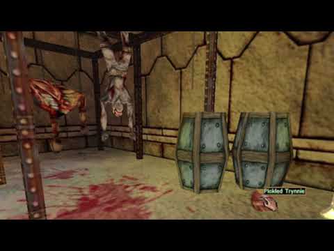 Disturbing Video Game Music 156: The Rapax - Wizardry 8