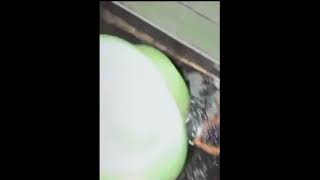 Download lagu Miriss !!! pacarnya disuruh nyuciin pembalut bekas 😳😳😳...... mp3